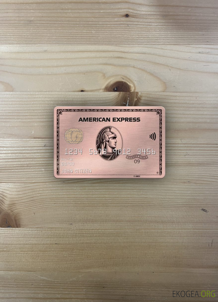 USA University of Southern Indiana banque AMEX carte métal or rose photolook , avant